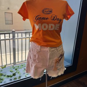 Game Day Mode - Image 2